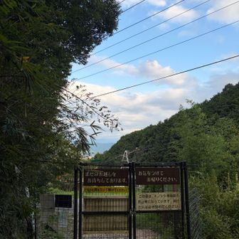 降りてきました。