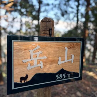 ナイスセンス👍