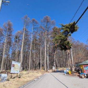 駐車場のある八ヶ岳山荘まで戻りました。お疲れ様です。
バスで来ている人も多かった。