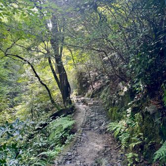 湿度100% 
ムシムシしていますが
川沿い涼しい〜🫧
