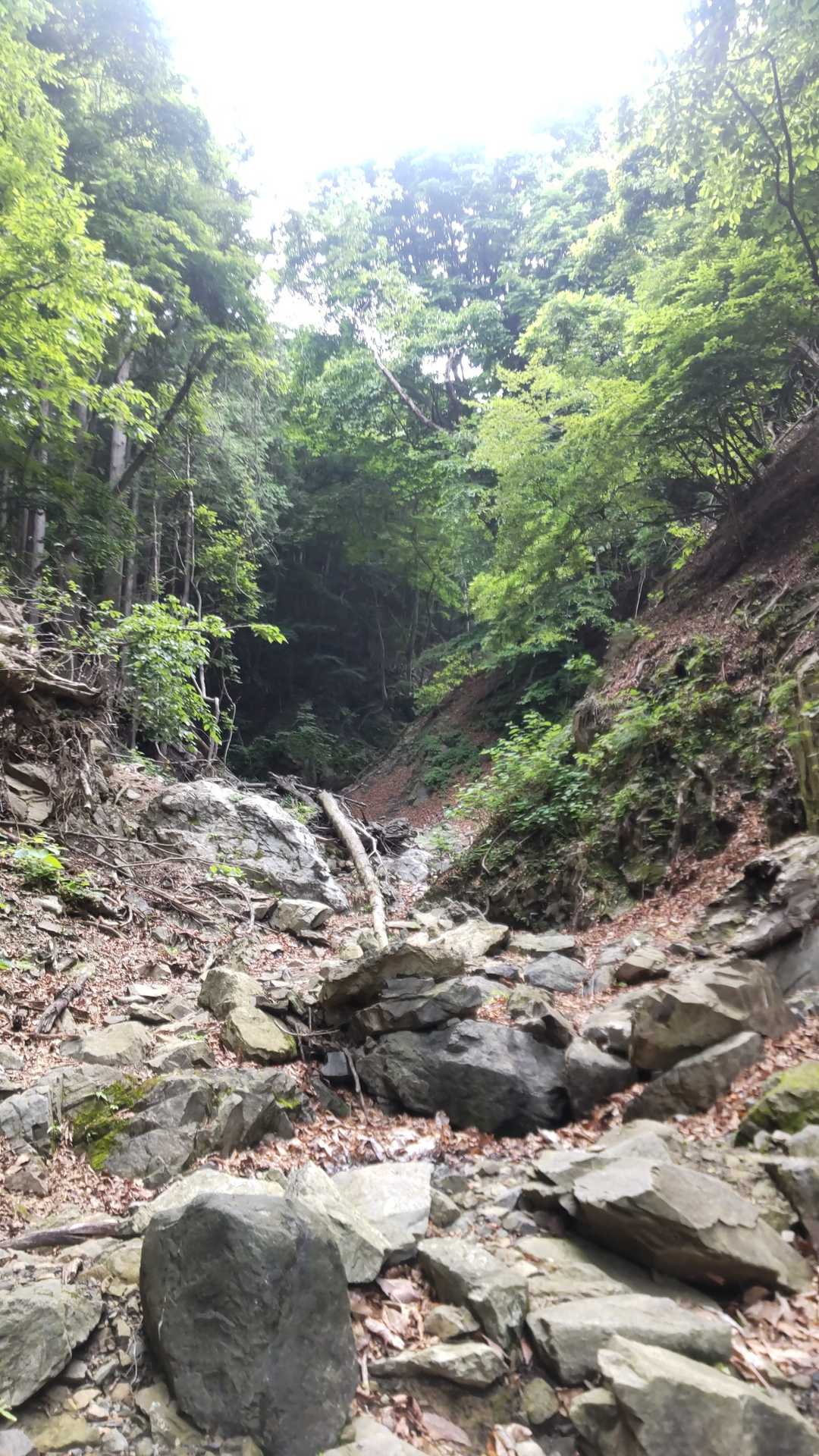 集合場所から二子山登山口🅿️まで🚙で３０分。一台も停まっていませんでした。この天候だからかな。