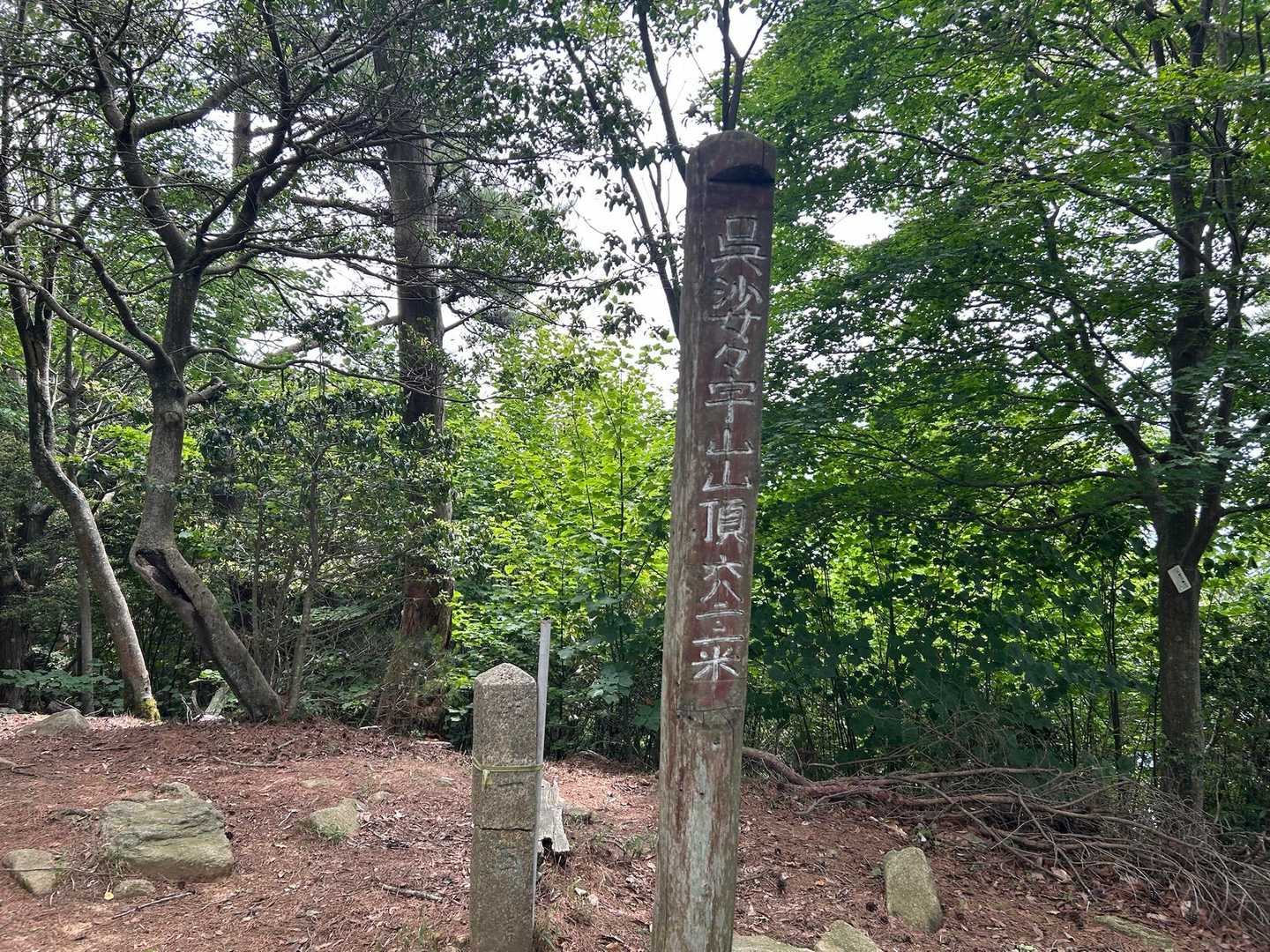 呉娑々宇山に着いた
ここまで63分
