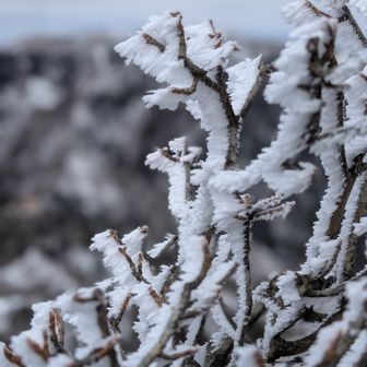 そしてコーヒ飲んで