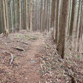 定峰峠に向かう。