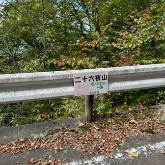 階段降りると林道で
