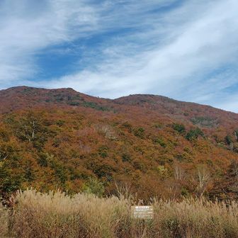 甲子峠から　大白森山
よく登ったなぁ