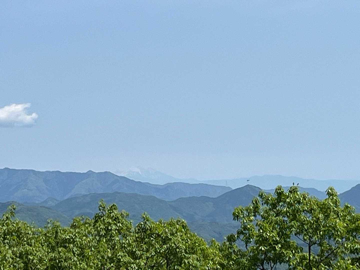写真わかりづらいなぁ😅