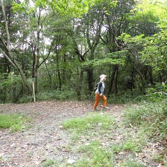 下りたところから送電線鉄塔点検道を進む。