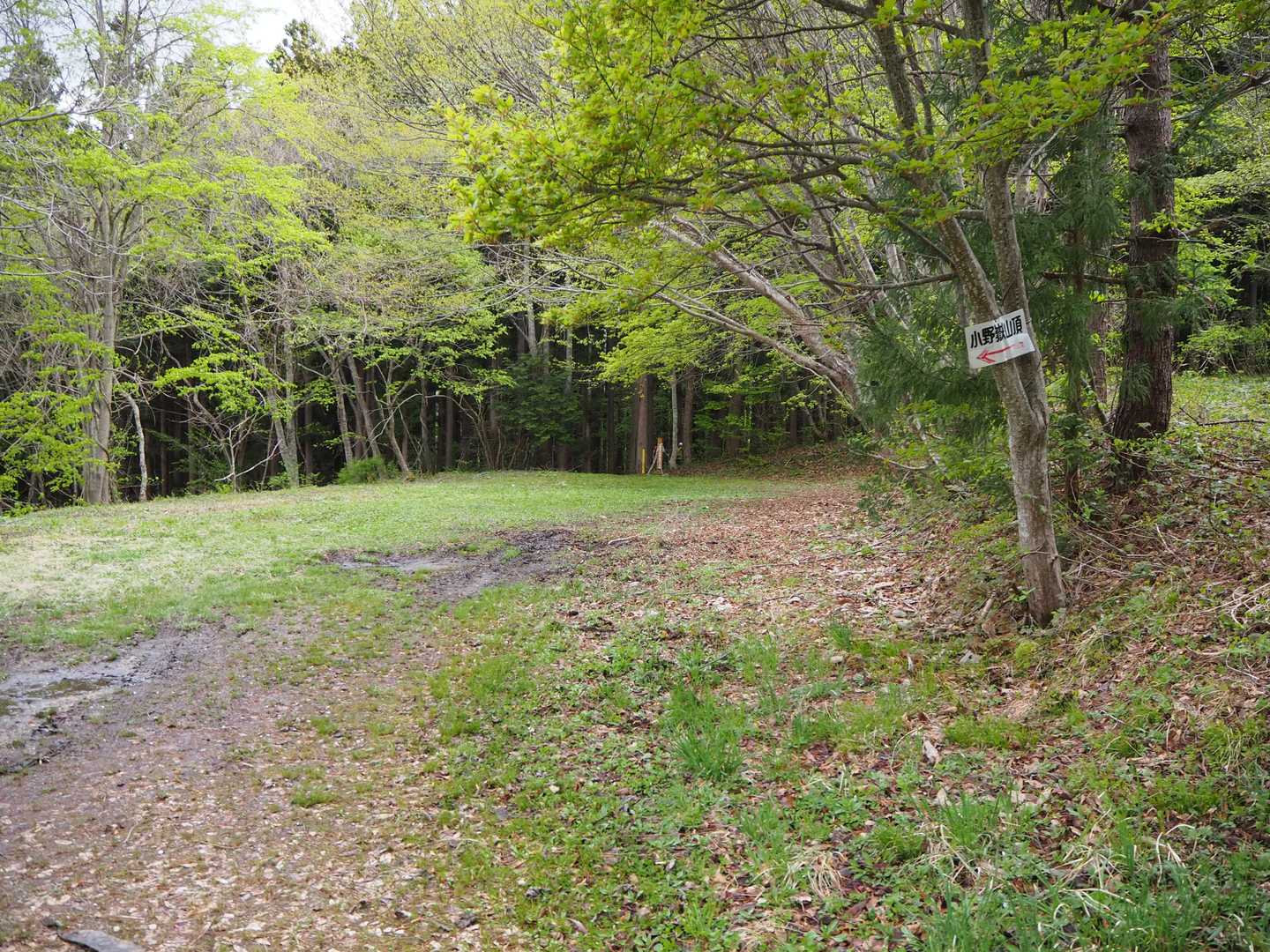 登山口前の駐車場に出ます。奥が登山口