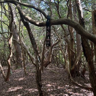 小池山山頂。ここで引き返す。烏帽子山は断念。