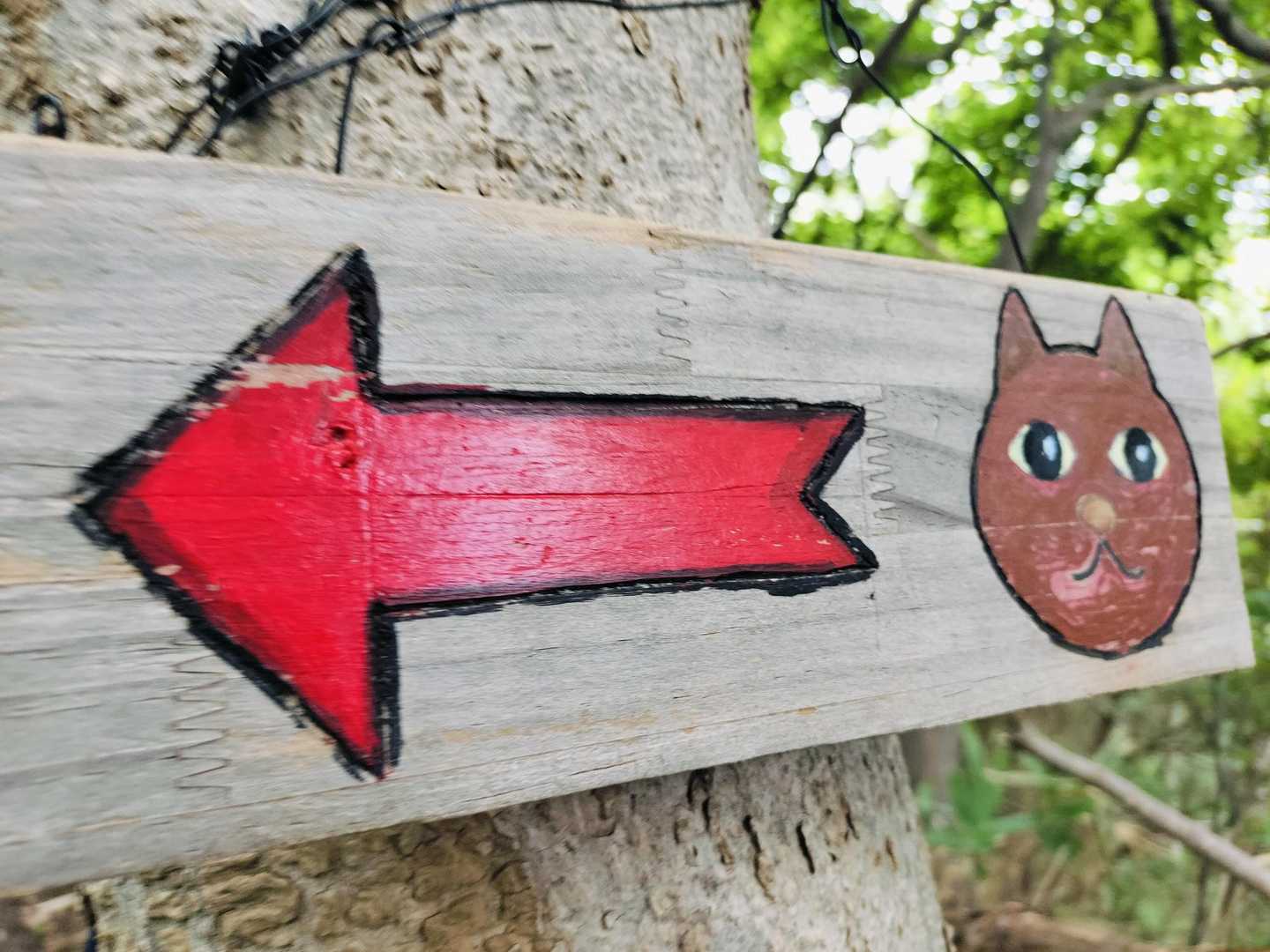 😻