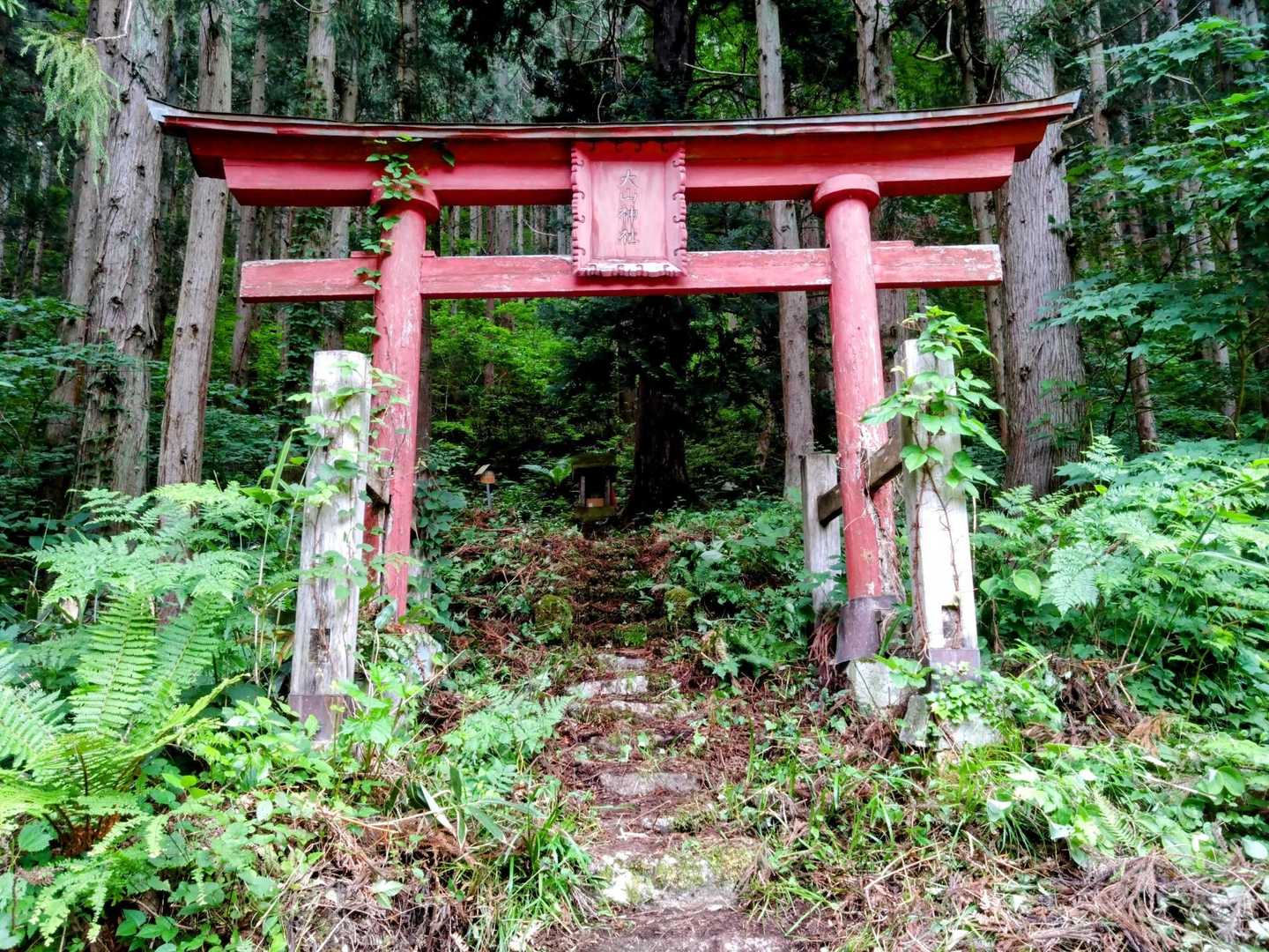 大山神社🙏
