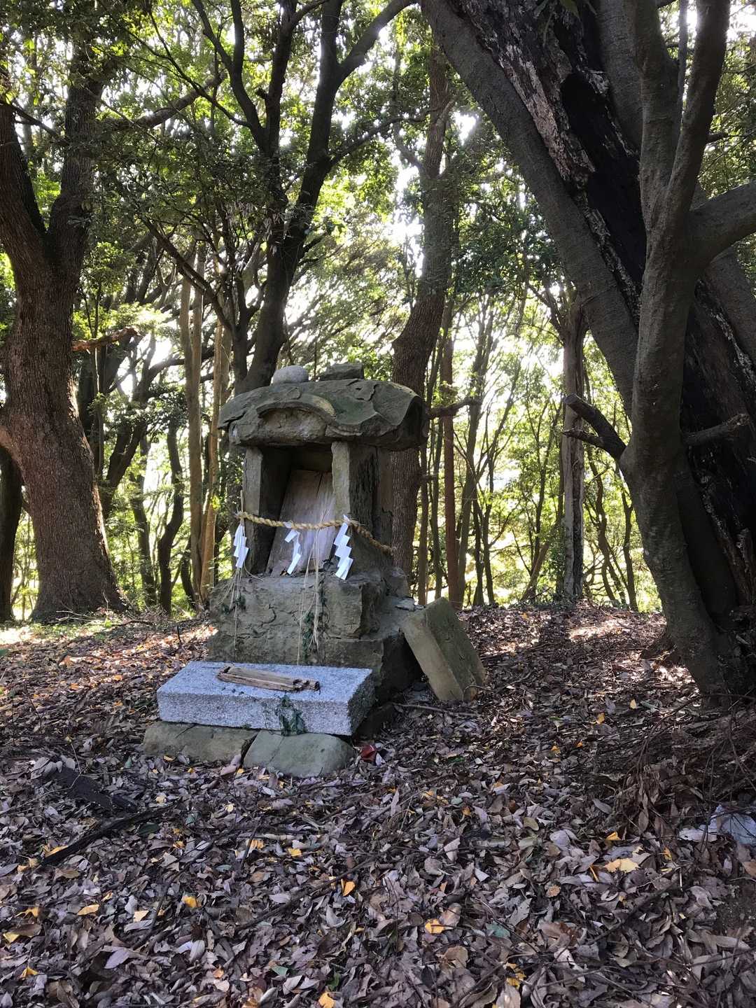 祠のある所が山頂。神社山に多い山名、宮山🙁