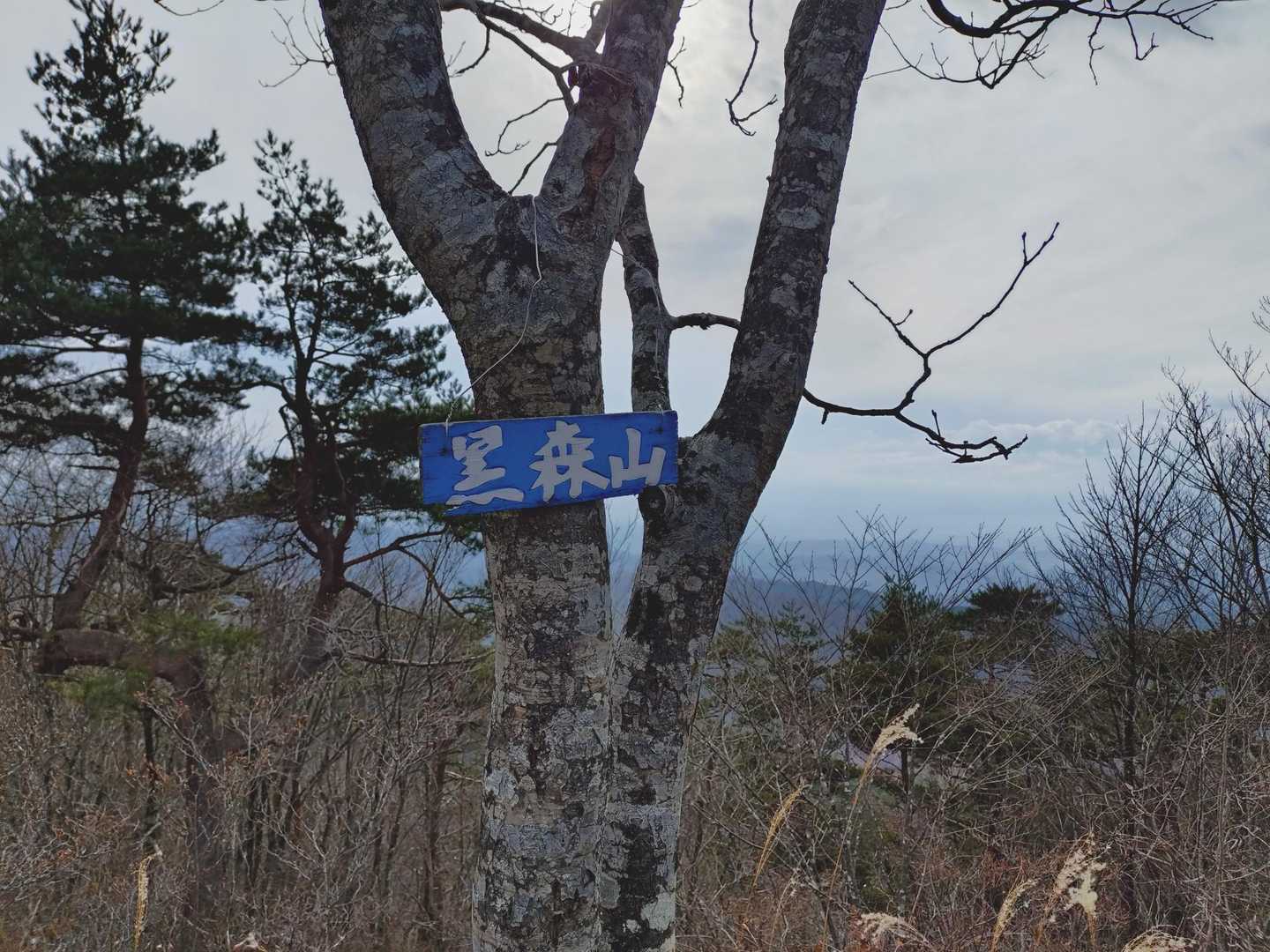 プレート🙌