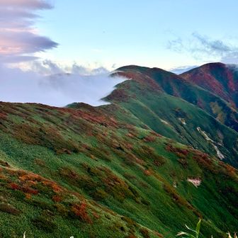 来なかったら見られなかった景色。
一緒に見れたんだぜ？
少なくとも俺は共に見れた事が嬉しかったよ👍🏻