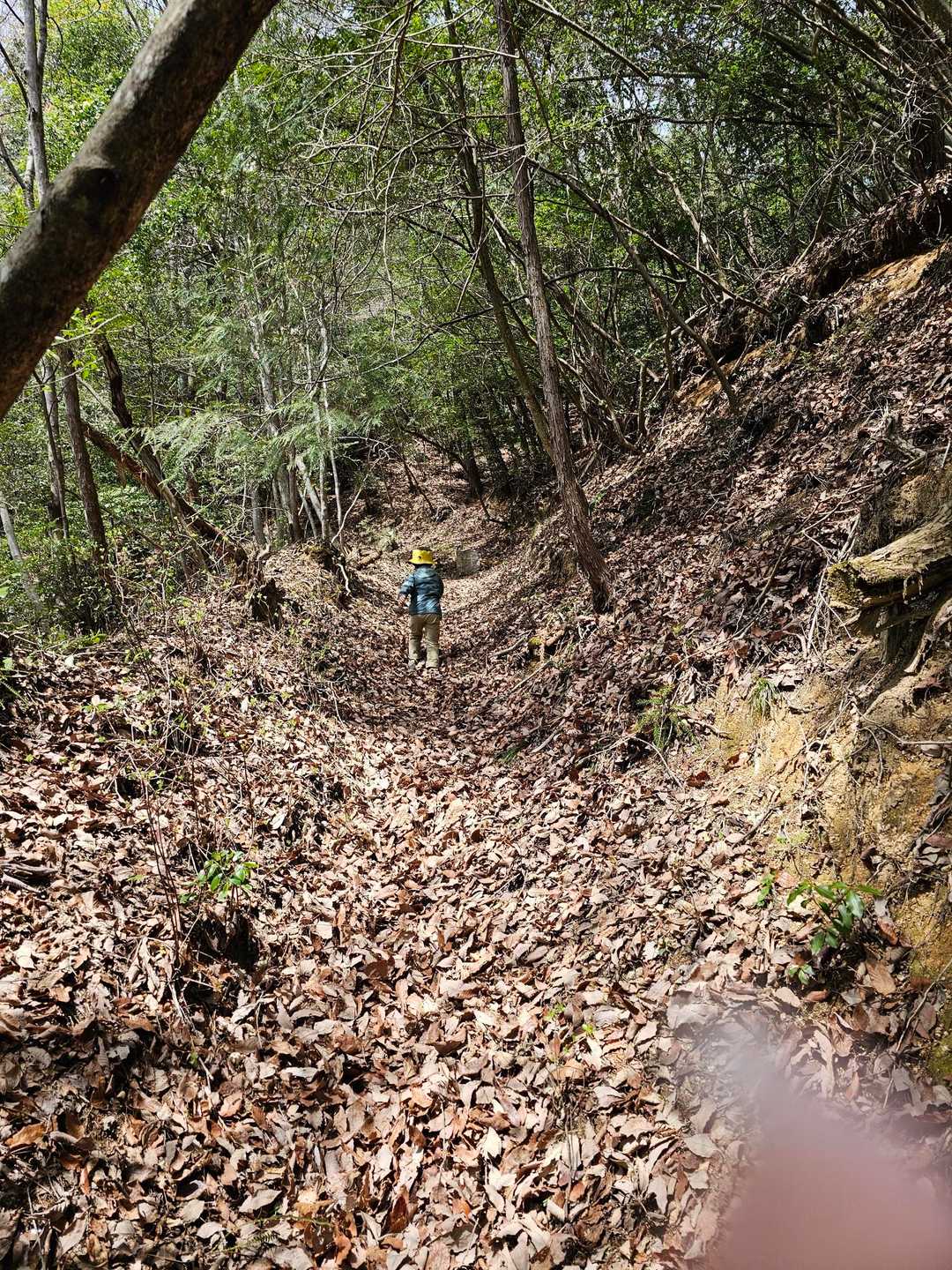 斗升登山口-岳山-前岳 周回コースの写真