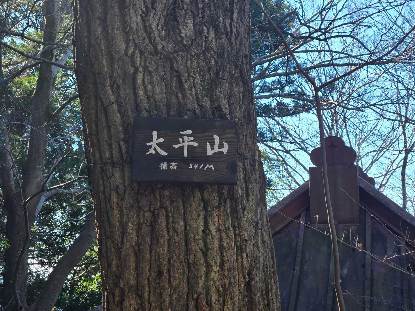 大中寺-太平山-ぐみの木峠-晃石山-晃石神社-青入山-桜峠 周回コースの写真