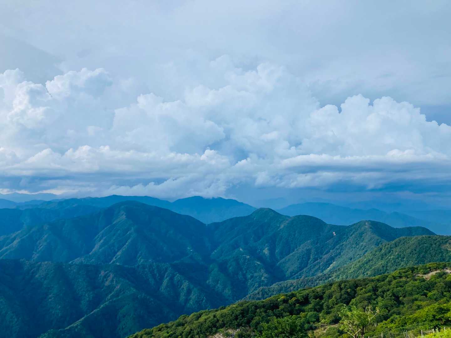伊吹山 周回コース | 9合目から始まる、花と琵琶湖の日本百名山の写真