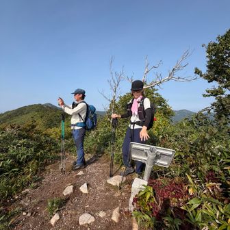 小虫沢山飛んでました