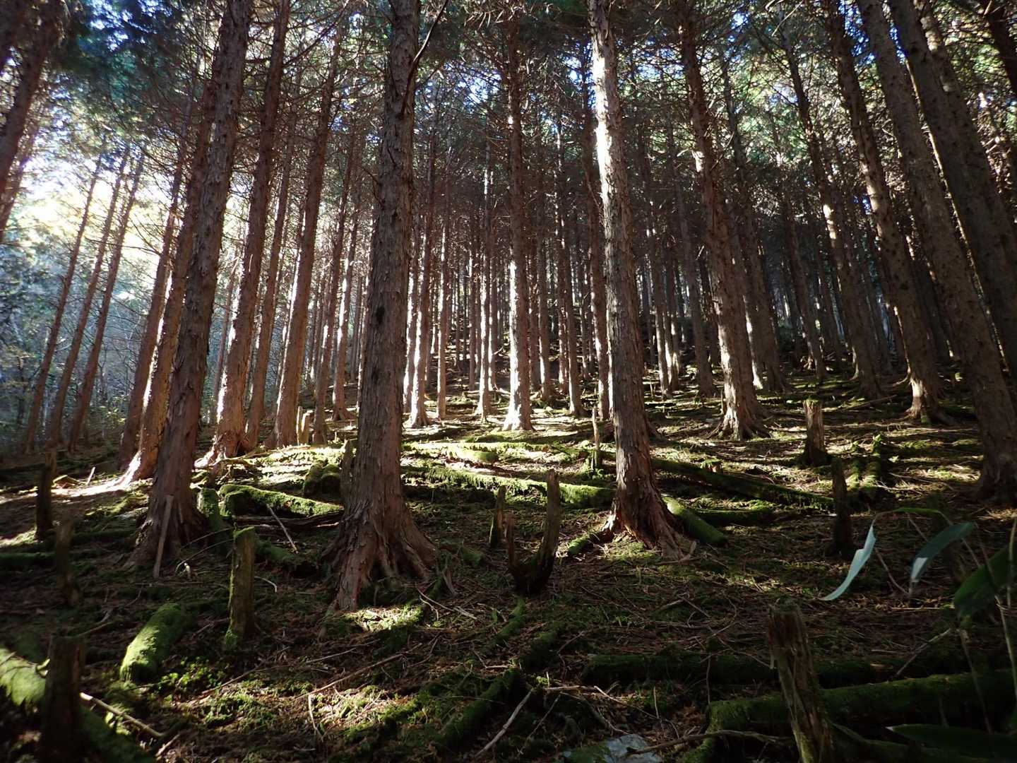 感じええねぇ