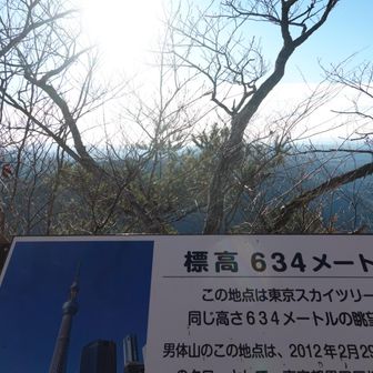 下山開始。標高634メートルまで下りてきた