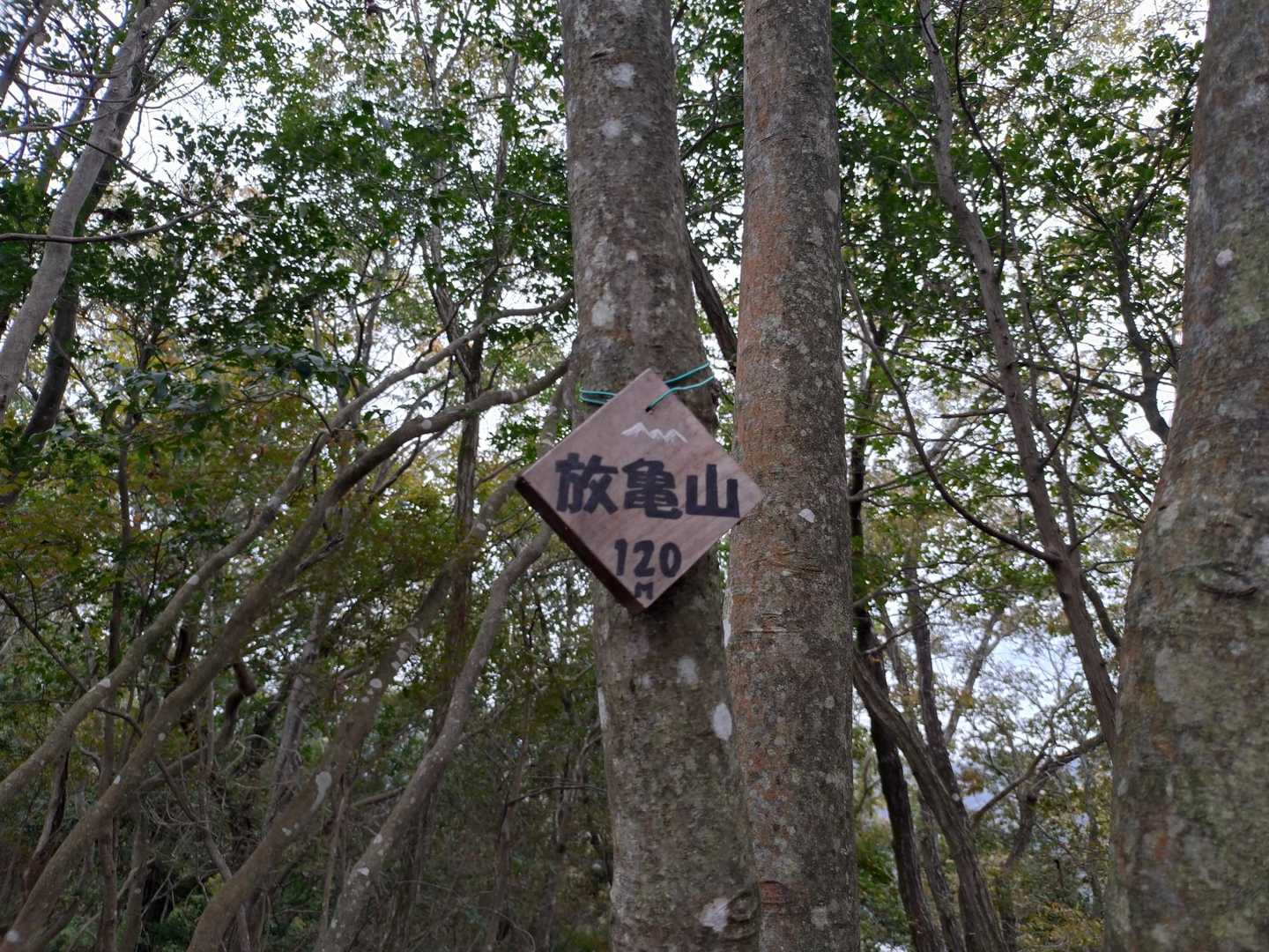 展望はありません