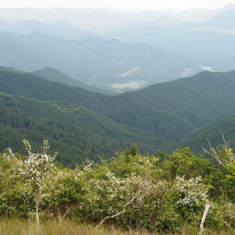 奈良は山が深いよね

ずーっとずーっと向こうまで、
ひたすらに山