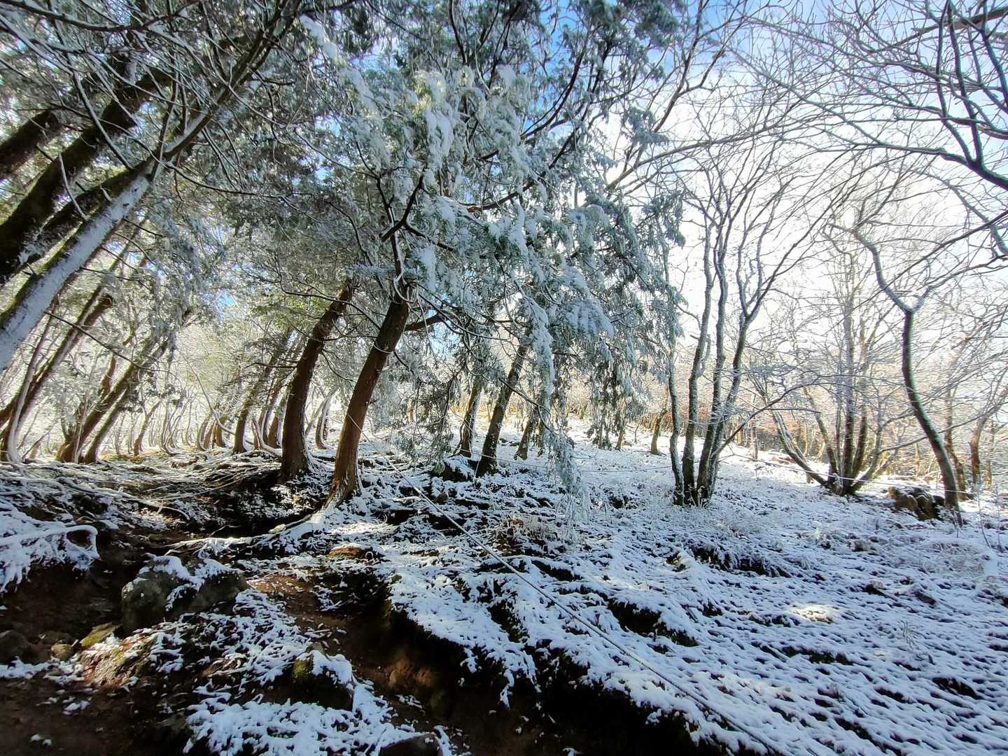 8合目から上にて雪が登場