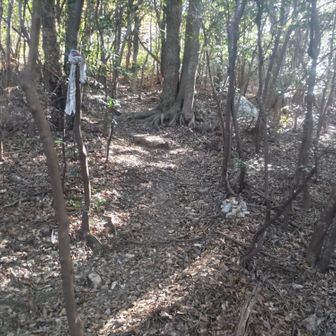 西テラスへ巻き道を進みます。ここは神石山の山頂に行くコースの分岐です。白いタオル？が目印。