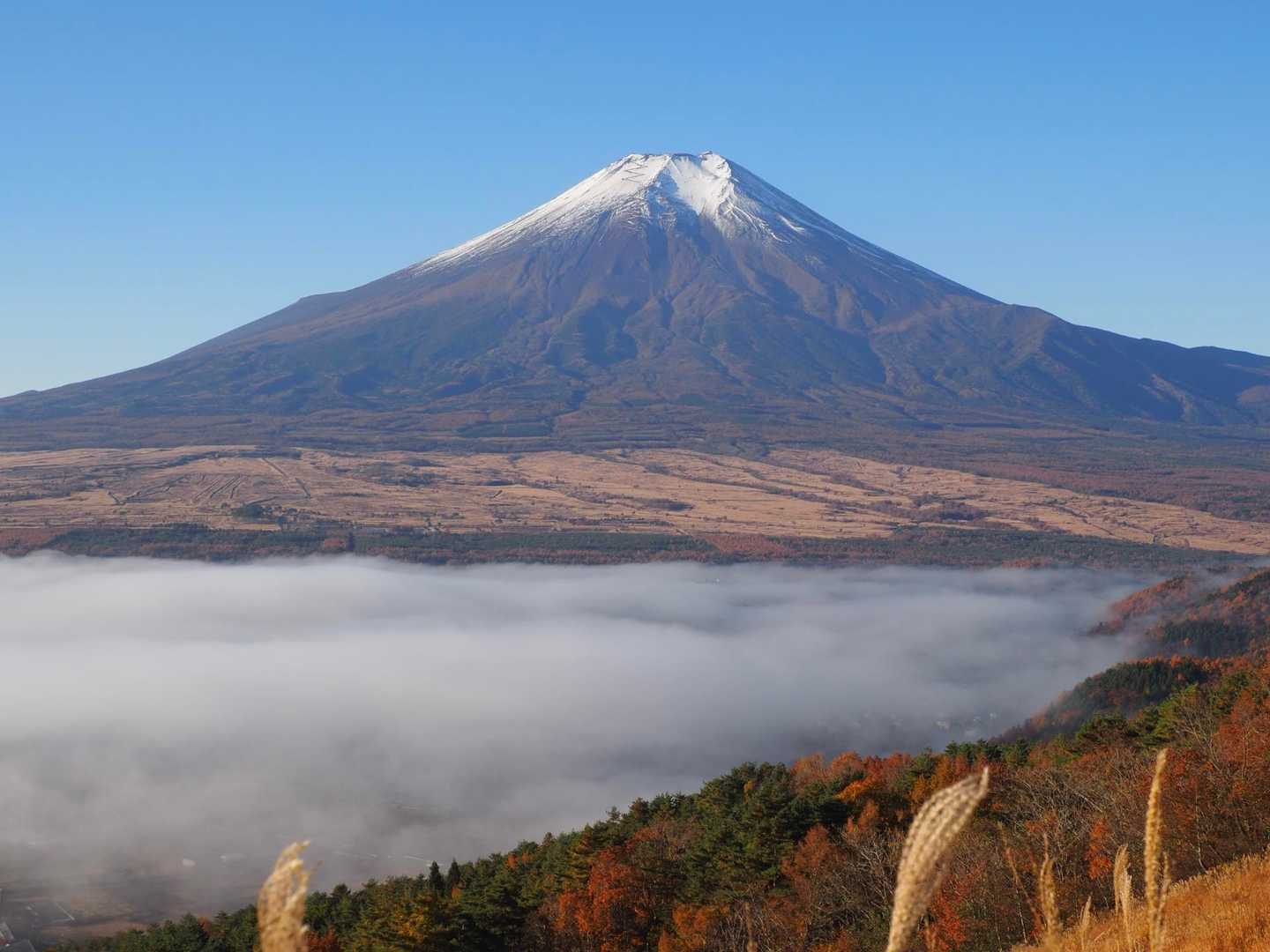 忍野八海は霧の中