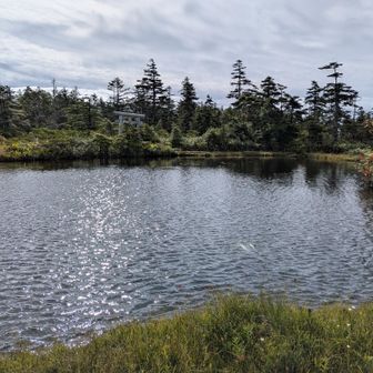 青空欲しかった…。でも綺麗よ…
どなたかが鏡平山荘の鏡池のようだと書いてましたが、確かに！！良く似てますね。