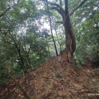 山頂?と右の尾根