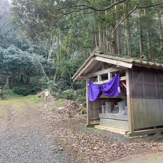 舗装道路を歩いて、こちら「古墳コース」から登ります