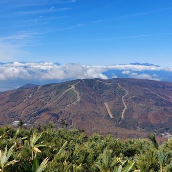焼額山