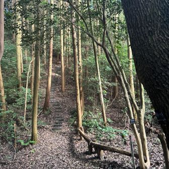 五差路に着く！