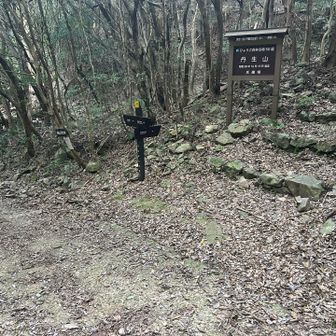 下りは表参道で