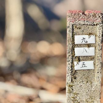 御正体山にもあったやつ

この標柱は、山林で使われる林班界（りんぱんかい）の境界標です。森林を管理するために区画を番号で分けており、「九・八・五」のように林班番号や小班番号が表示されています。登山者向けではなく、林業関係者が位置を把握するための目印として設置されているものです。