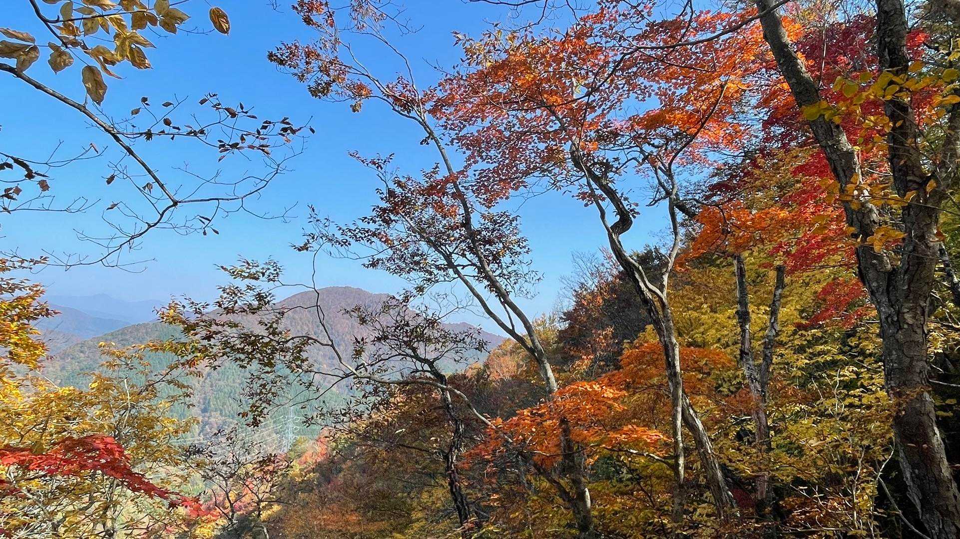 オボコンベ山-桐ノ目山 周回コースの写真