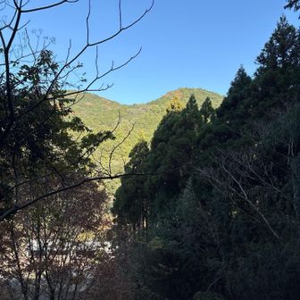 階段上からの景色　耳納連山の何処かな❓