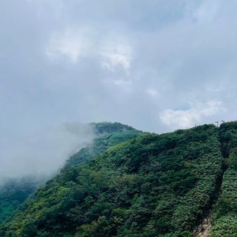 荒島岳に来るといつもこんな感じなのはなーぜ？

ここは前荒島岳。