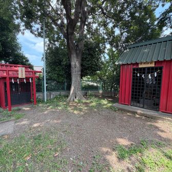 階段を登ると境内が現れます✌️