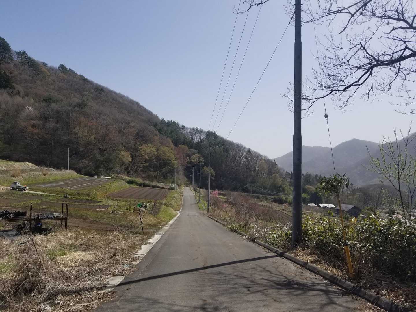 ４合目まで登ったのですが、「カタクリ群生→0.5㎞」の看板を見て、大下りしてしまったわ。どこ～？と農道に出てしまって、ふと右手を見たら…