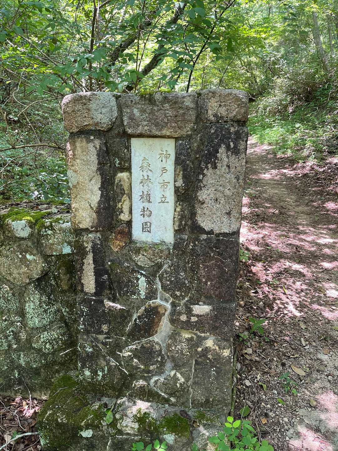 さて、森林植物園