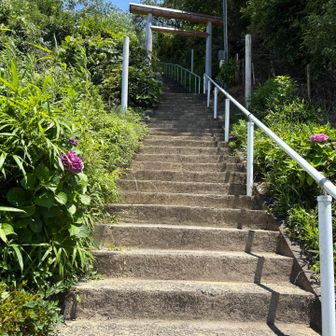 階段を登る