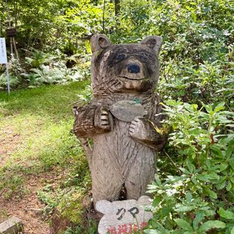 このクマはかわいい