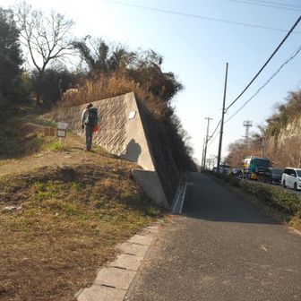 横断して高坪山へ向かう