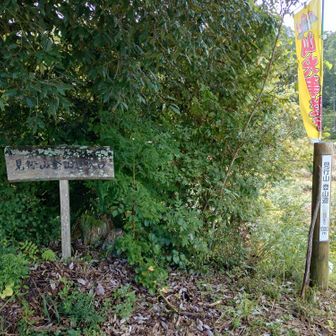 キャンプ場を突っ切ります
