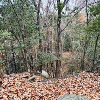 奥から山野へ続く道です。