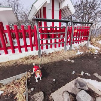 この辺りが山頂だよ。