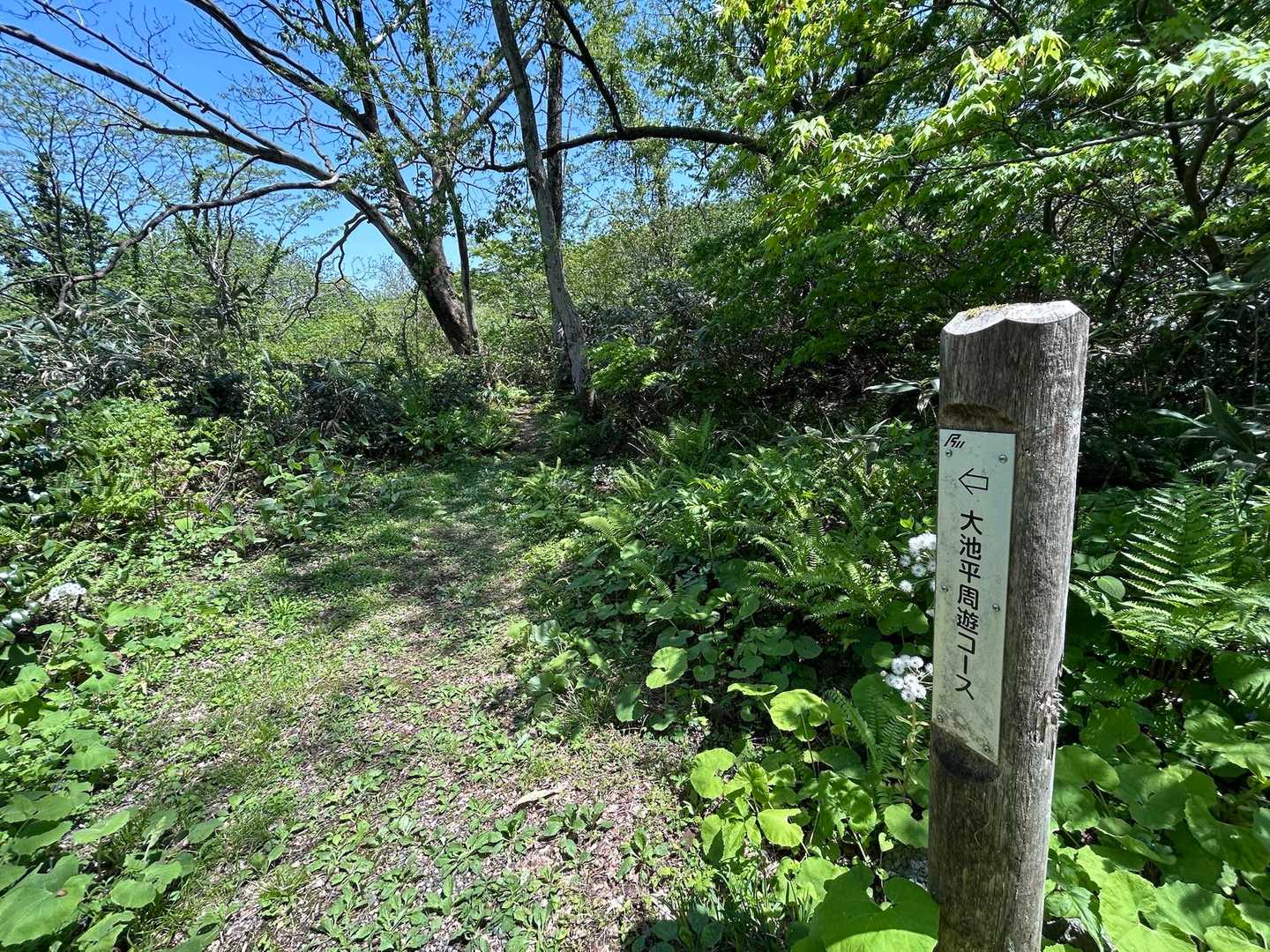 三色泉へ